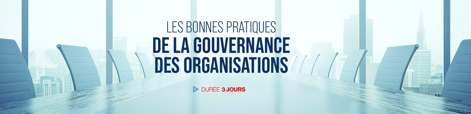 LES BONNES PRATIQUES DE LA GOUVERNANCE DES ORGANISATIONS